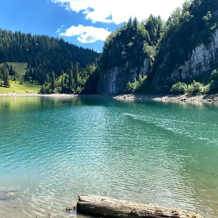 Flat In Sur Ollon, Gamat, For 4 With Two Double Beds Apartment *