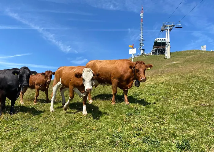 아파트 Flat In Sur Ollon, Gamat, For 4 With Two Double Beds 빌라쉬르올롱