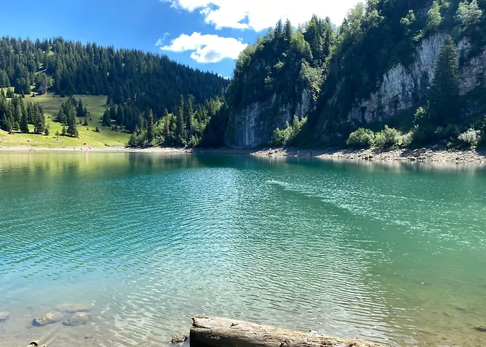 Flat In Sur Ollon, Gamat, For 4 With Two Double Beds Apartamento *