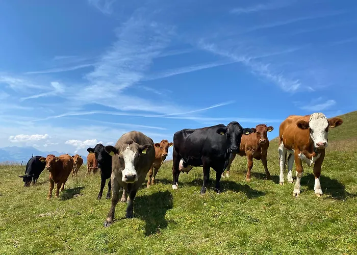 Apartamento Flat In Sur Ollon, Gamat, For 4 With Two Double Beds *