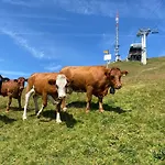 Appartement Flat In Sur Ollon, Gamat, For 4 With Two Double Beds Villars-sur-Ollon