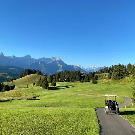 Flat In Sur Ollon, Gamat, For 4 With Two Double Beds