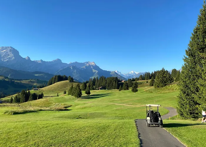 Flat In Sur Ollon, Gamat, For 4 With Two Double Beds